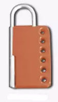 Heavy Duty 1-1/4" Lockout Hasp