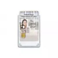 Shielded 2-card Vertical badge holder w/slot
