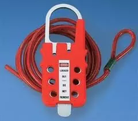 Multi-Purpose Cable Lockout Device